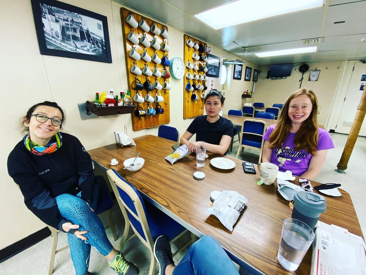 JulesDeep's tweet photo. After COvID test #4, we are now moving aboard the ship for #protatax — being Chief Scientist is stressful, but the cabin is niiiice
#protatax #deepsea #ocean #hydrothermalvents #axialseamount #cruise #womeninstem #explore https://t.co/MeukDYNU4U