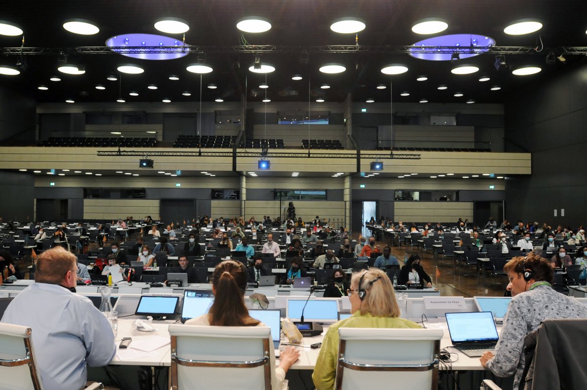 Earth Negotiations Bulletin tweet media