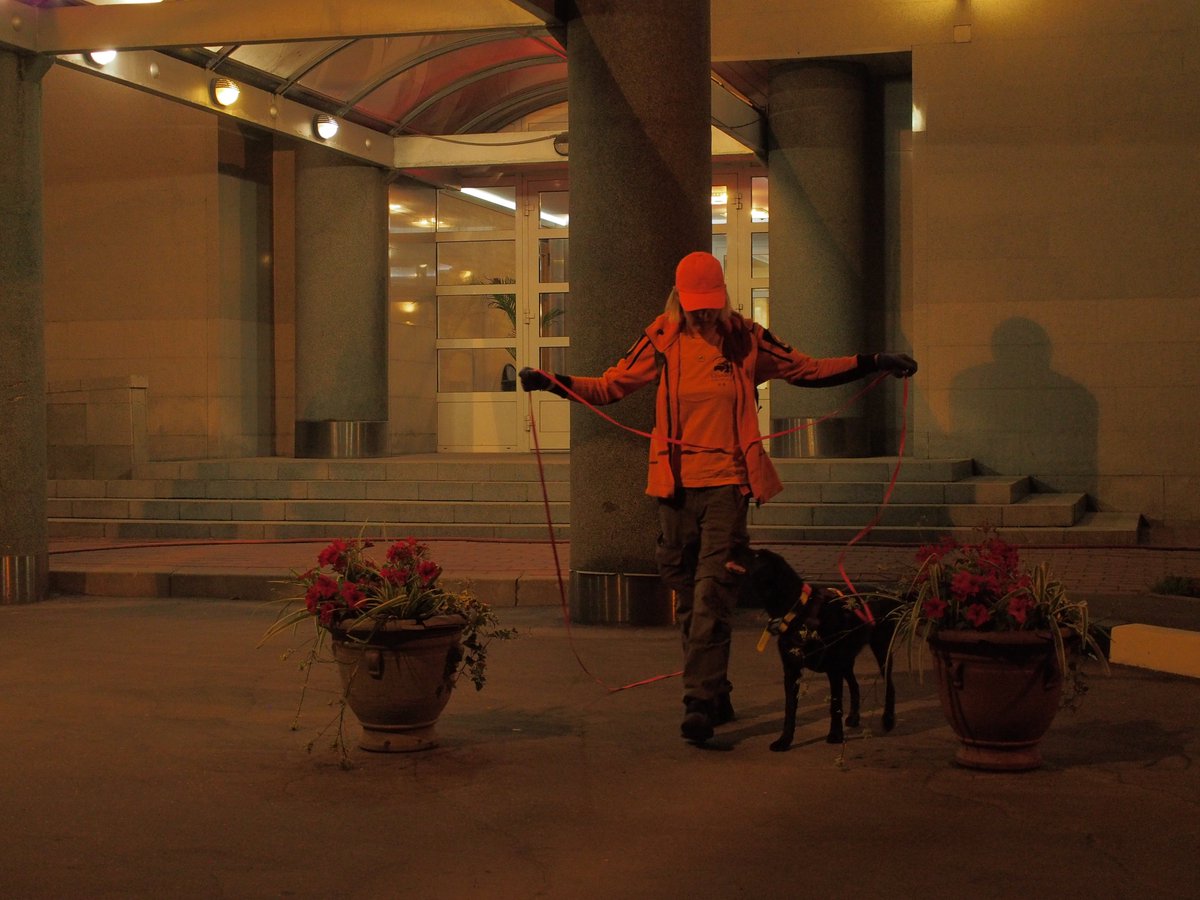 Alexander Sayganov tweet media