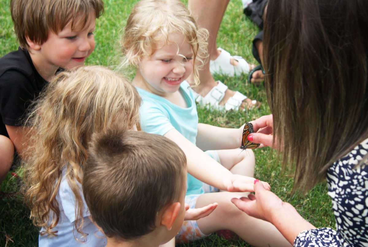 ymcanorthernsky's tweet photo. Butterfly joy! 🦋✨ Today children at our Fercho child care site had the opportunity to learn about butterflies and help release them in Island Park. Thank you to Briana, our Vice President of Human Resources, for putting smiles on many little faces today! https://t.co/mc9o1xarM0