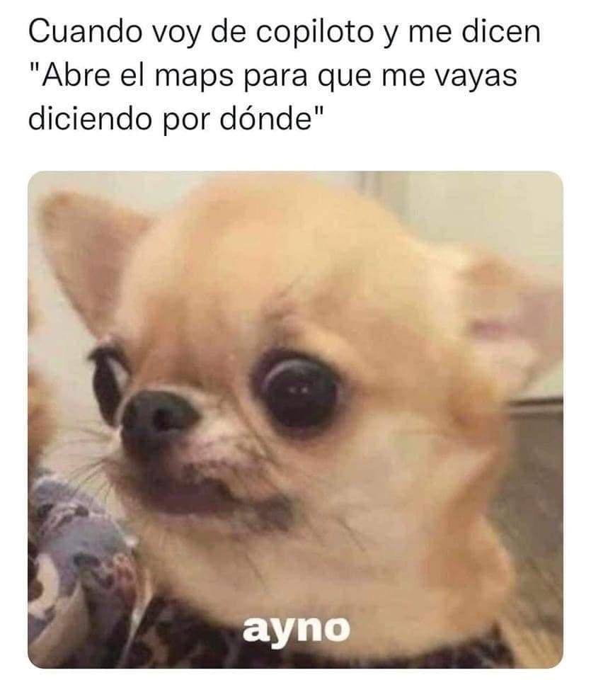 De10Sports's tweet photo. #HumorDe10 πππ Β‘SΓ somos! π https://t.co/KZU0ydaueV