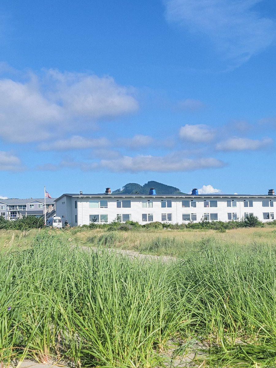 theashbeans's tweet image. Took my troubles to the seaside, drowned them with salty vigor.