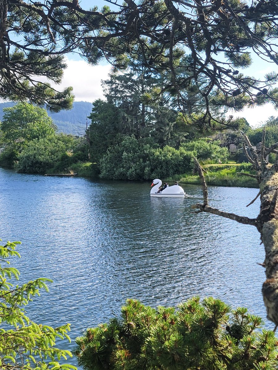 theashbeans's tweet image. Took my troubles to the seaside, drowned them with salty vigor.