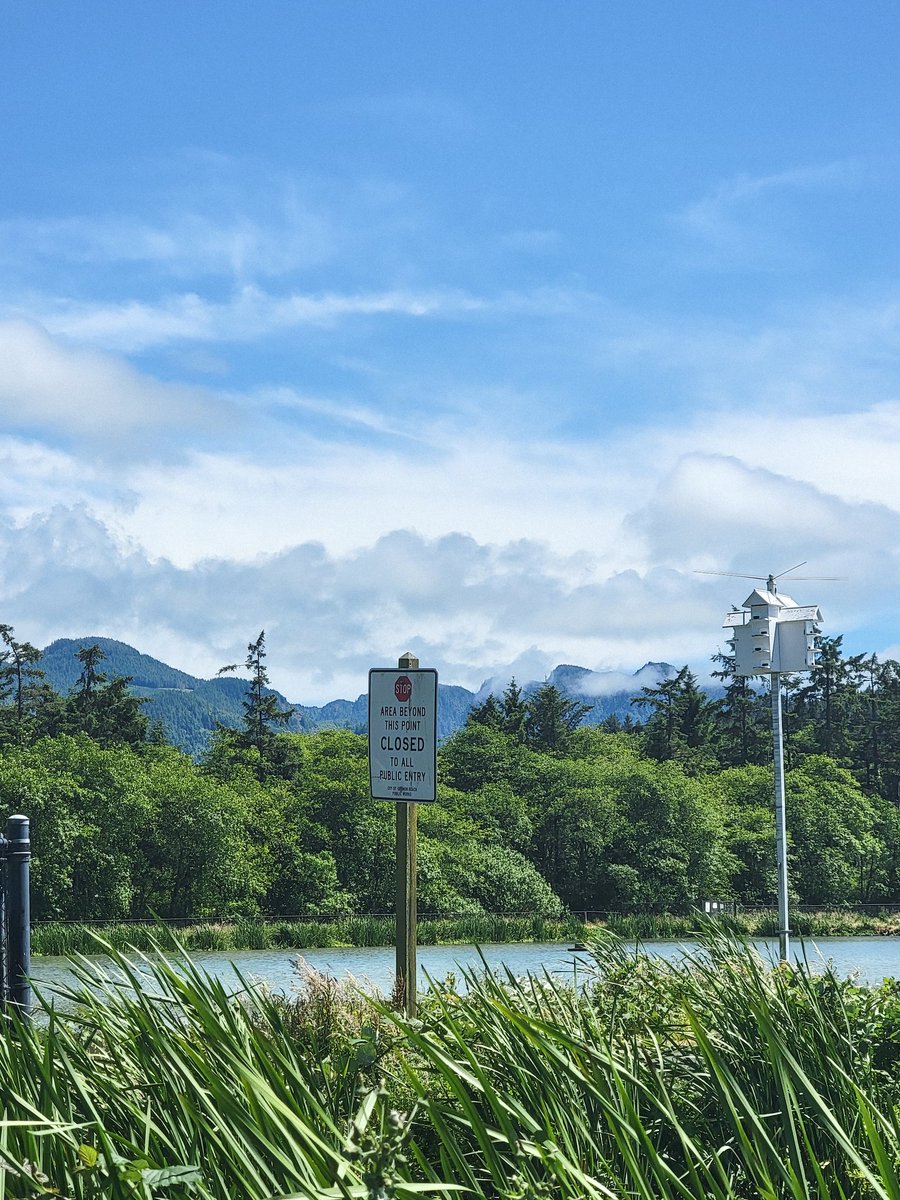 theashbeans's tweet image. Took my troubles to the seaside, drowned them with salty vigor.