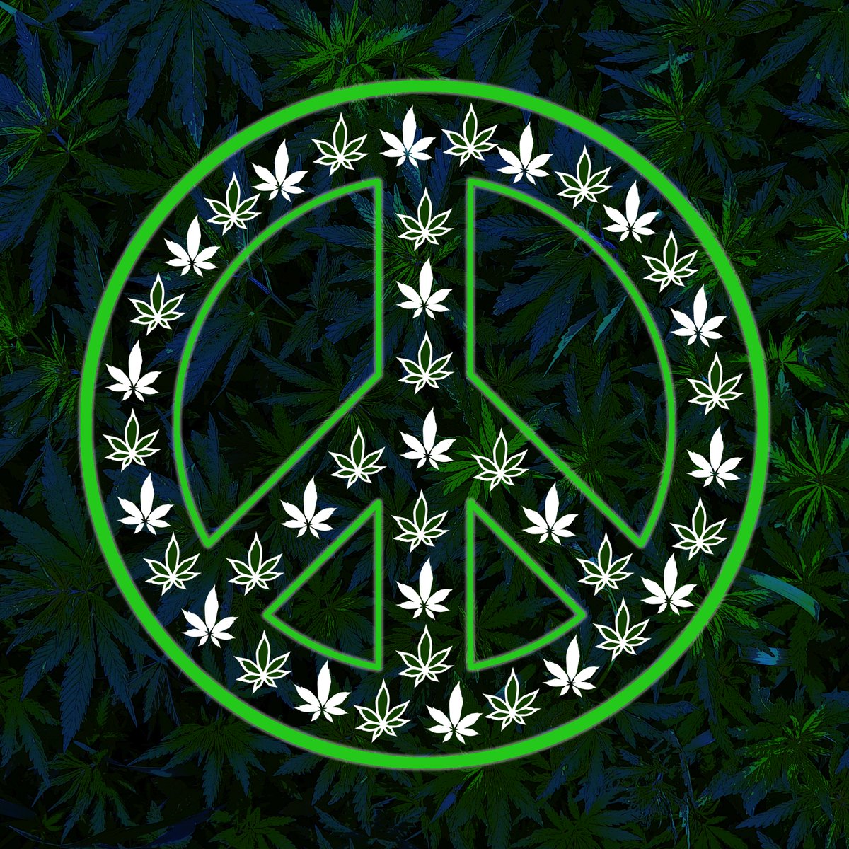 MetaPeaceArt's tweet photo. @ciscokidcoin Well -- I don't have a #cannabis collection but I do have a pretty cool #NFT 

"It's a Pot Peace" .03 on #Poly

https://t.co/Lyyt1zFfjg https://t.co/ZJAbNbcRdJ