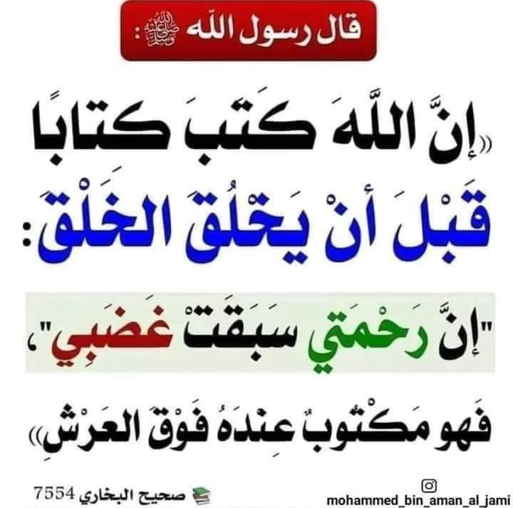 Sheref tweet media