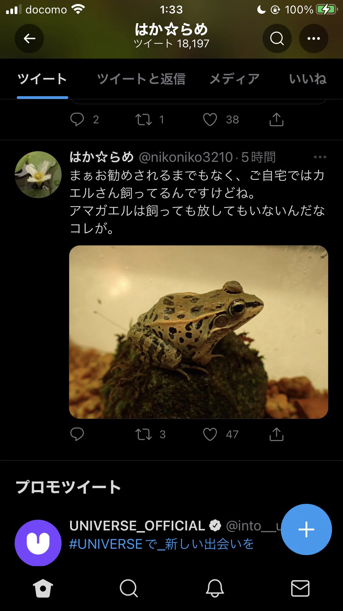 @nikoniko3210 お住いが庭なしマンションで、水草はベランダで、カエルは室内で実際に飼育してらっしゃる。
この状況は隣人にも知られてるから苦情が寄せられているのでは？
本当に野生のカエルに対する苦情なのでしょうか？
マンション住まいなら、トラブルになる前に譲り合いや話し合いが必要かと…
F外失礼。 