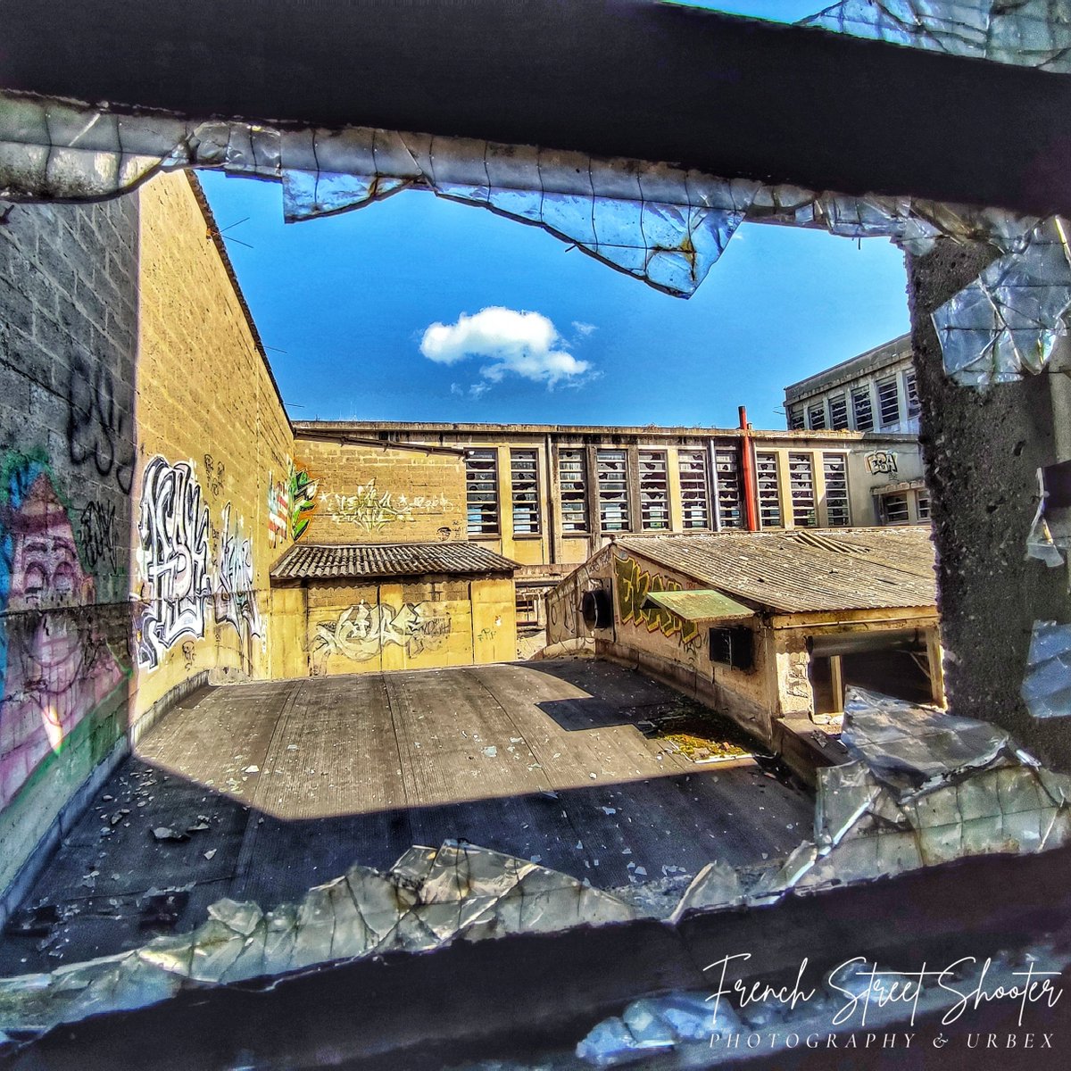UrbanLostExplor's tweet photo. 🚸🏴‍☠️ Industrial wasteland •
➖➖➖➖➖➖➖➖➖➖➖
Fenêtre sur cours
#fricheindustrielle #factory #wasteland #forgottenplaces #hiddenplaces #urbex #urbexphotography #urbexfrance #urbanexploration #urbexnormandie #the_urbex_institute #urbex_supreme #urbexworld #lostplaces https://t.co/Kj78RGRKG7