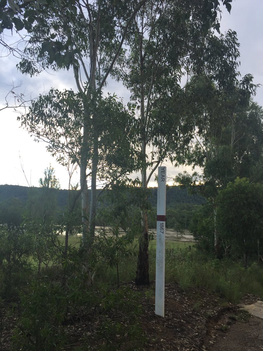 <a href="/AliceBe19722212/">Alice Bennett</a> <a href="/AlboMP/">Anthony Albanese</a> Here is a photo of the Nepean River near AgnesBanks. In the background is the most recent flood. In the foreground is the 1867 flood level. They had Climate Change so much worse in the 1800’s.