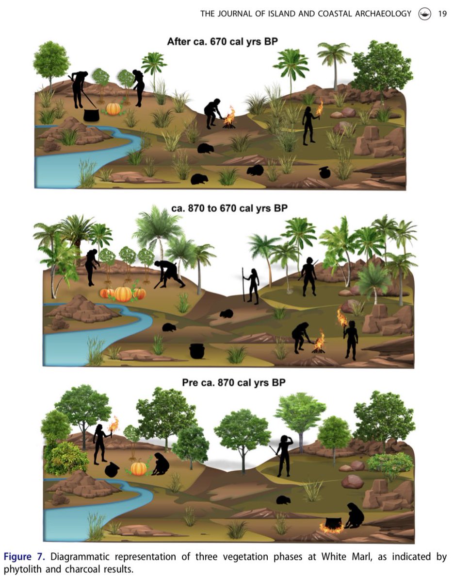 🚨Paper Alert 🚨 Our teams latest research on the legacy of human-environment interactions on the island of #Jamaica 🇯🇲🤚🏿🔥🤚🏽🌴🤚 tandfonline.com/doi/full/10.10… @InsideNatGeo @palaeolim @zakademic @CaribbeanEnv