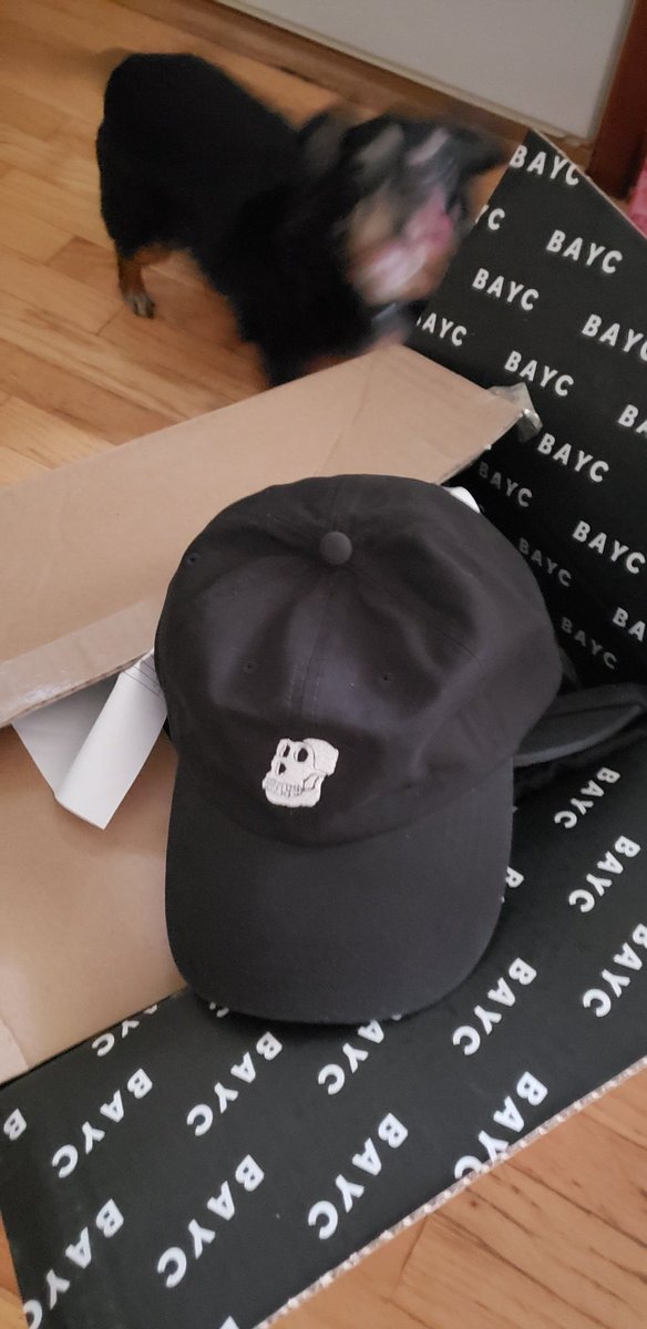 It's here!!!! Thank you <a href="/BoredApeYC/">Bored Ape Yacht Club 🍌</a> ! Even our dog is so hyped!!