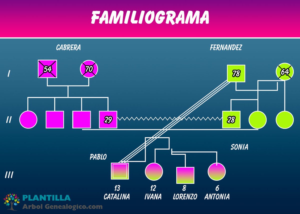 Arbol Genealogico tweet media