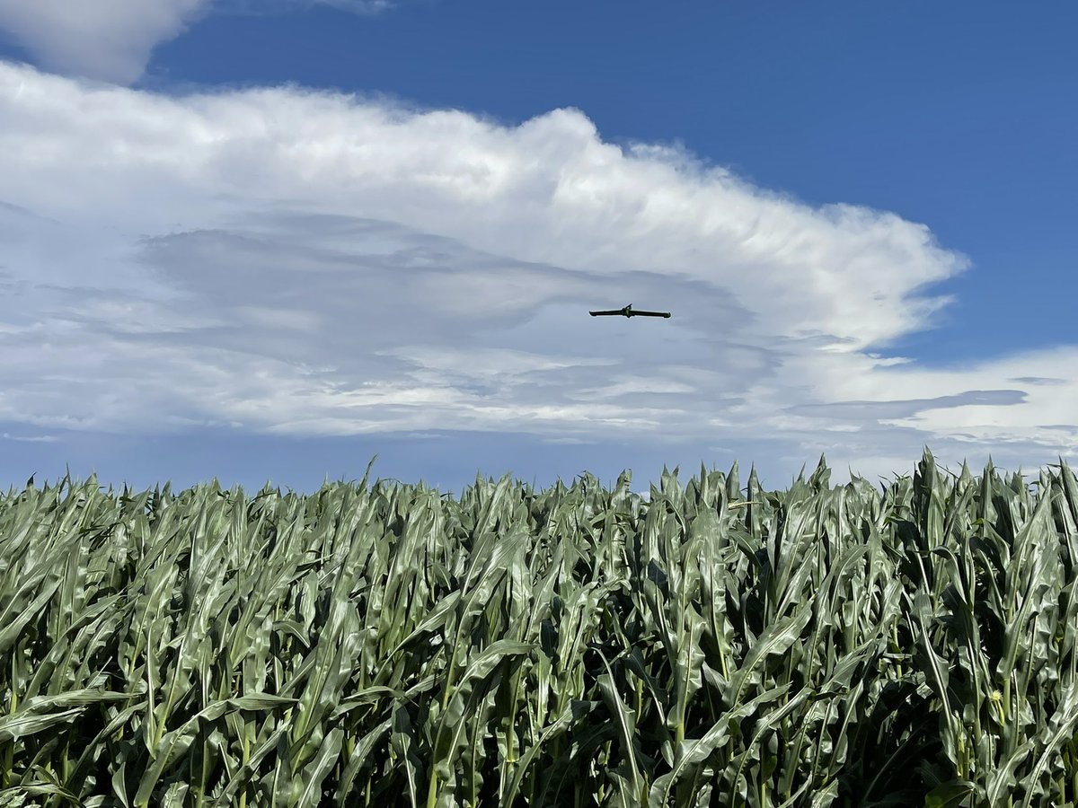 🌽 John and my sidekick, Quila 🌾 tweet media