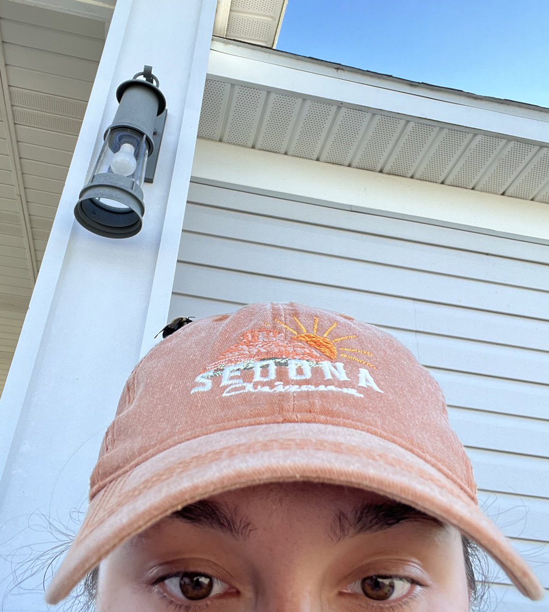 evergreenqveen's tweet photo. this bee has been on my head for like 20 min https://t.co/17wPAquoNB