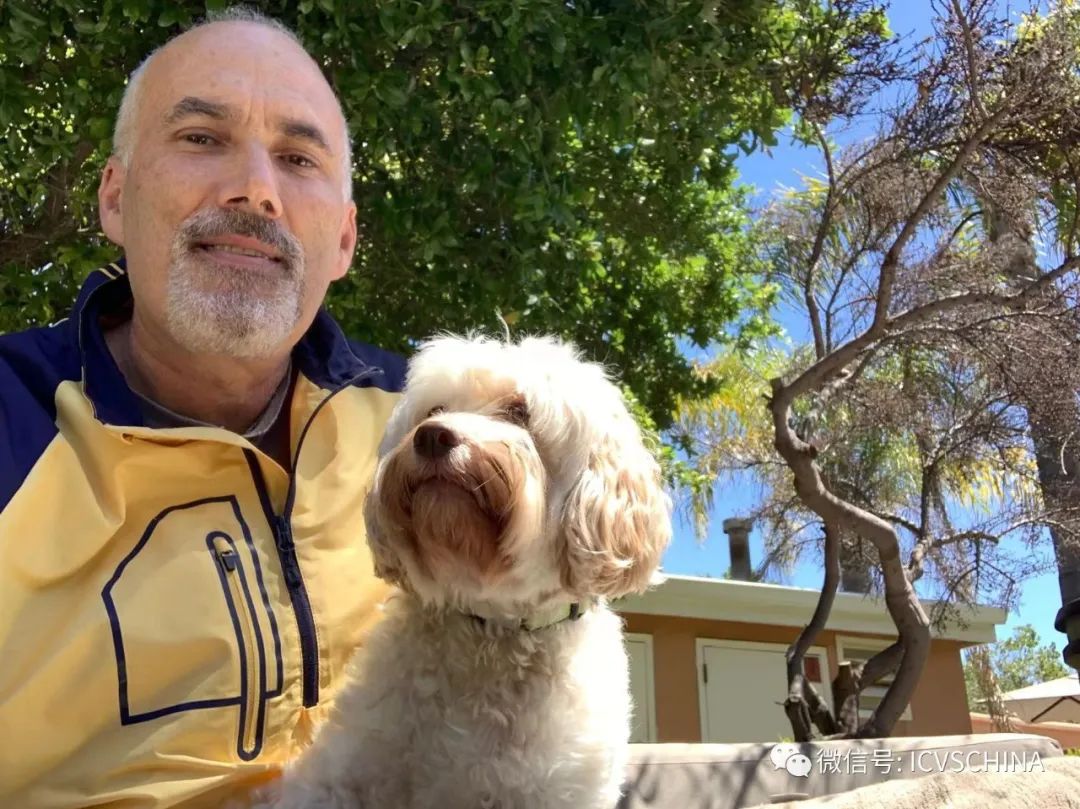 ICVS Animal Hospital tweet media