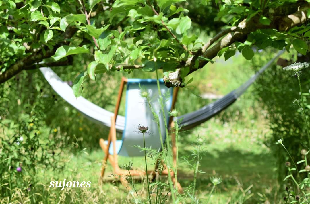 In the garden <a href="/NTBerrington/">Berrington Hall</a> #loveherefordshire