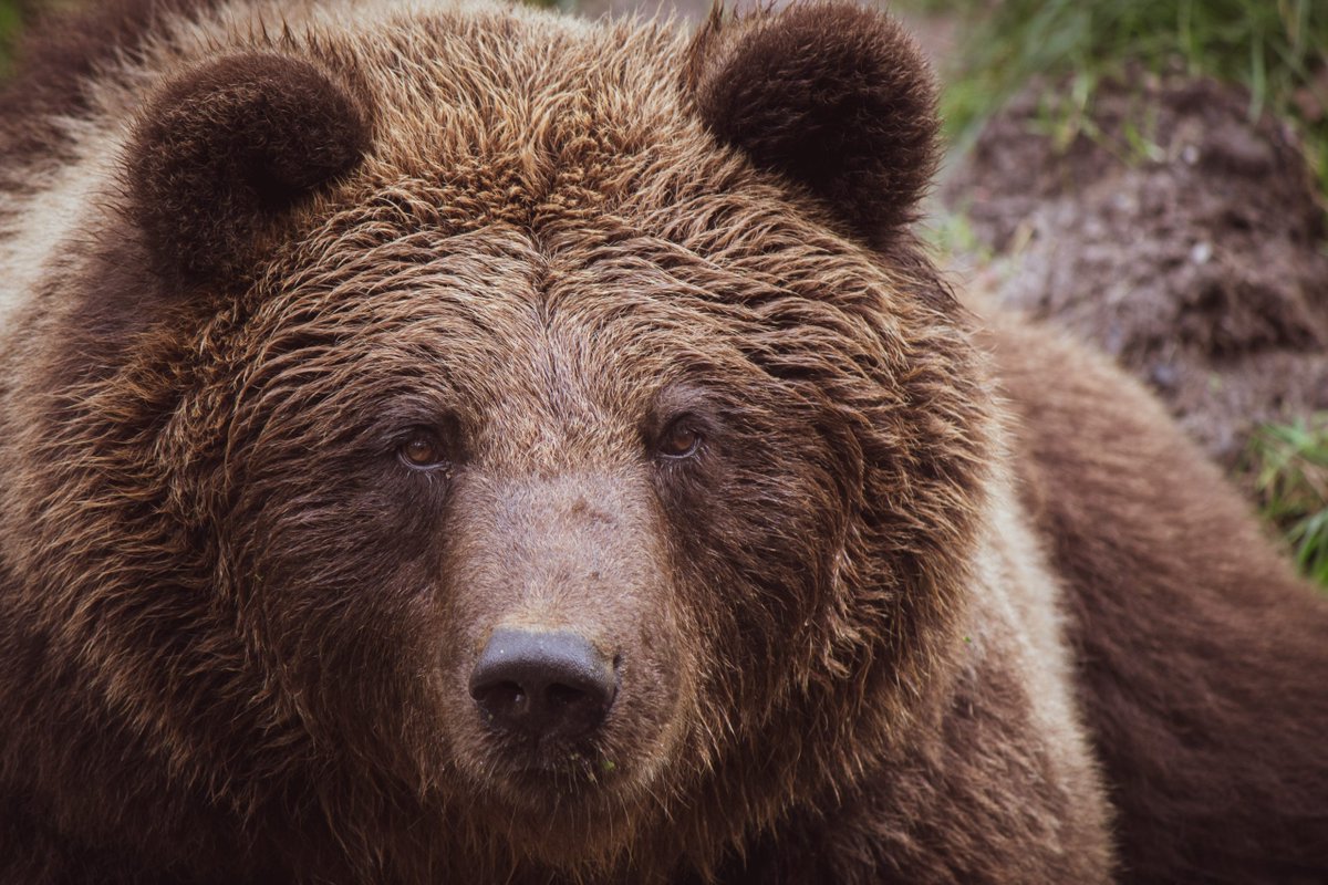 Bear market wipes 25 cryptocurrency exchanges in 30 days 

<a href="/WeCruitr/">WeCruitr</a> <a href="/HappySucceeding/">Happy And Succeeding In The Future Of Work Podcast</a> <a href="/Remotafy/">Remotafy</a> 

compliancex.com/bear-market-wi…