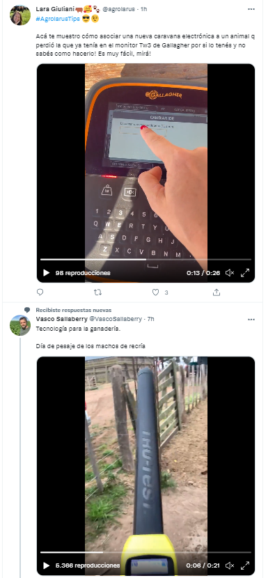 joacolascombes's tweet photo. Combituit tecnoloógico ganadero!

@VascoSallaberry
@agrolarus
#agtecharg https://t.co/YhaLXJzPzf