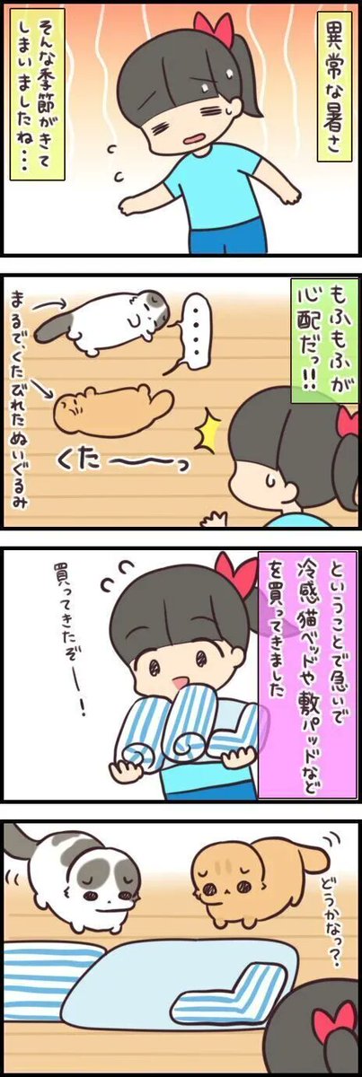 飼い主の気遣いは愛猫には伝わりにくい【連載】もふもふスコたん#233|ねこのきもちWEB MAGAZINE https://t.co/JaZvU3hVDD 