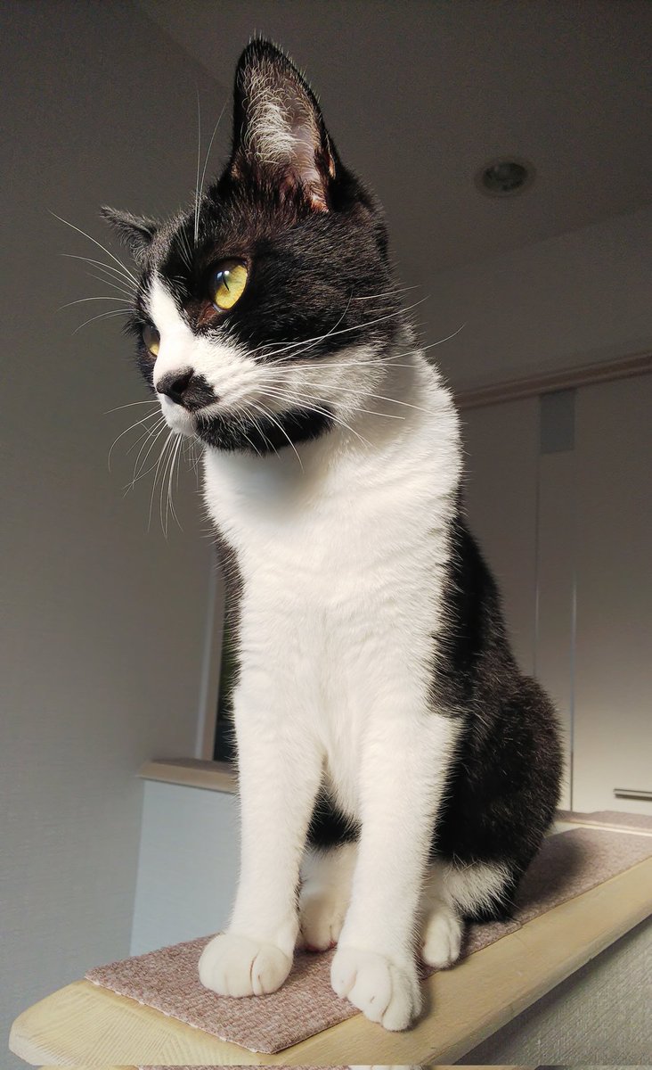 津田恒美 津田恒美 - Search / X