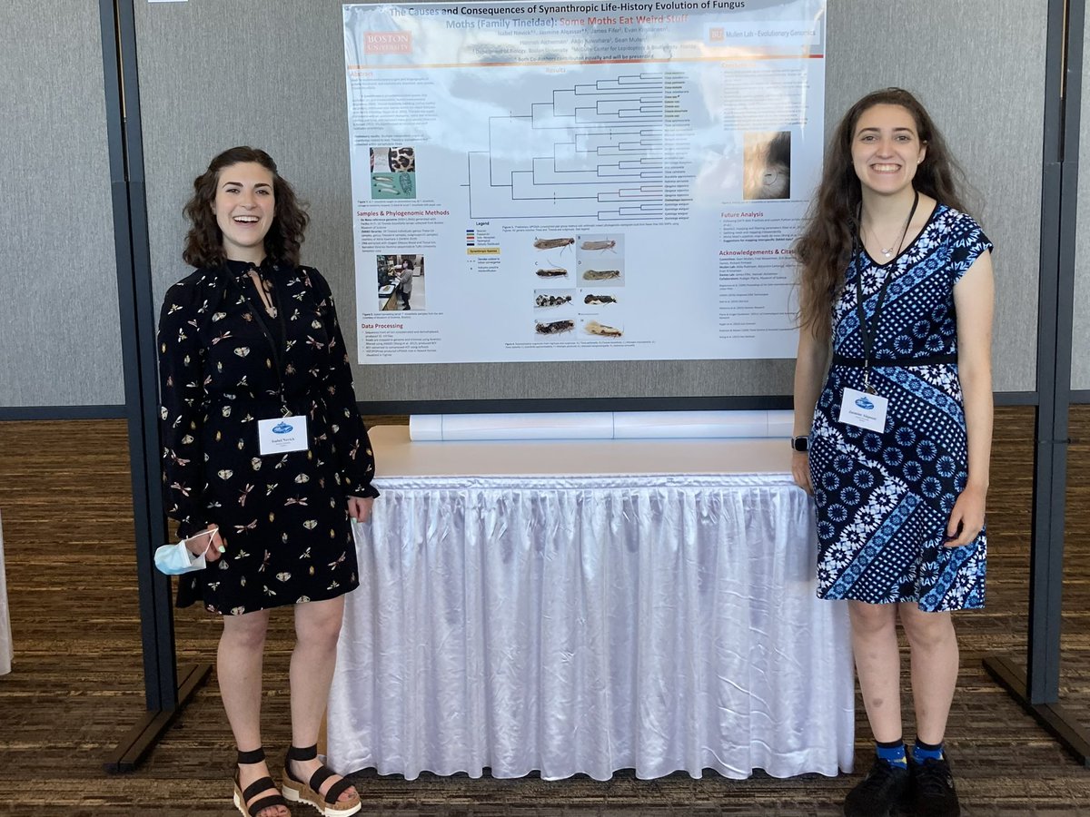 LetsTalkTineids's tweet photo. A little delayed but we had a great time presenting our poster on synanthropic evolution at #Evol2022! Saying it louder for the people in the back: 👏🏽some moths eat weird stuff👏🏽 @JasmineAlqassar https://t.co/byjIma9caL