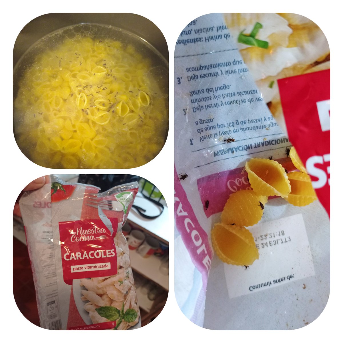 FranciscaGo's tweet photo. Paquete de fideo lleno de bichos🤬🤢🤬🤢 https://t.co/WJkTN3CHTM