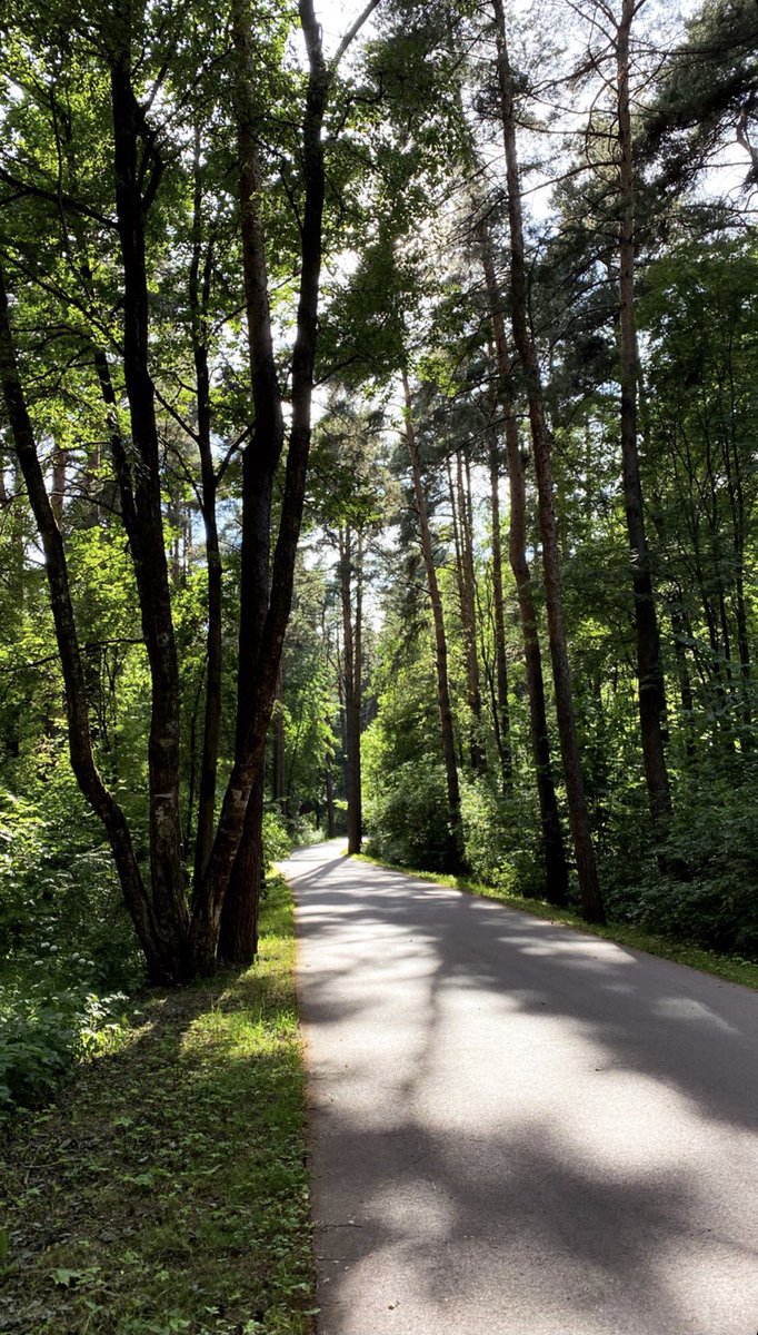 foreign2222's tweet image. 