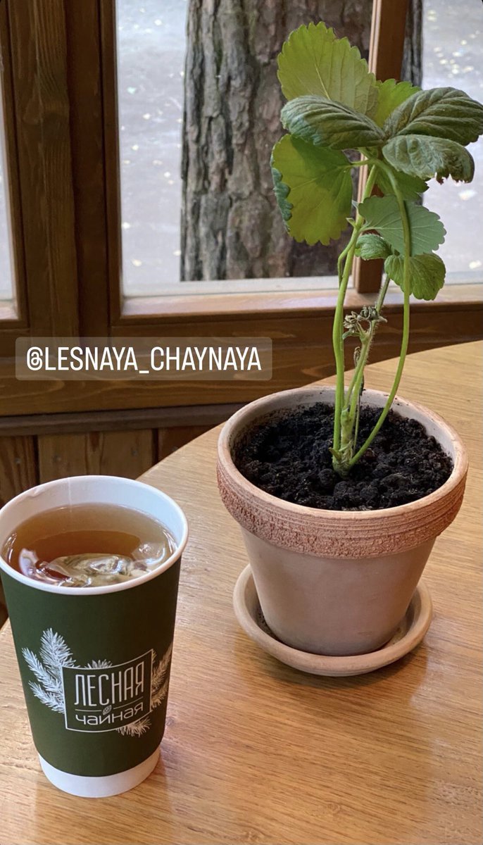 foreign2222's tweet image. 