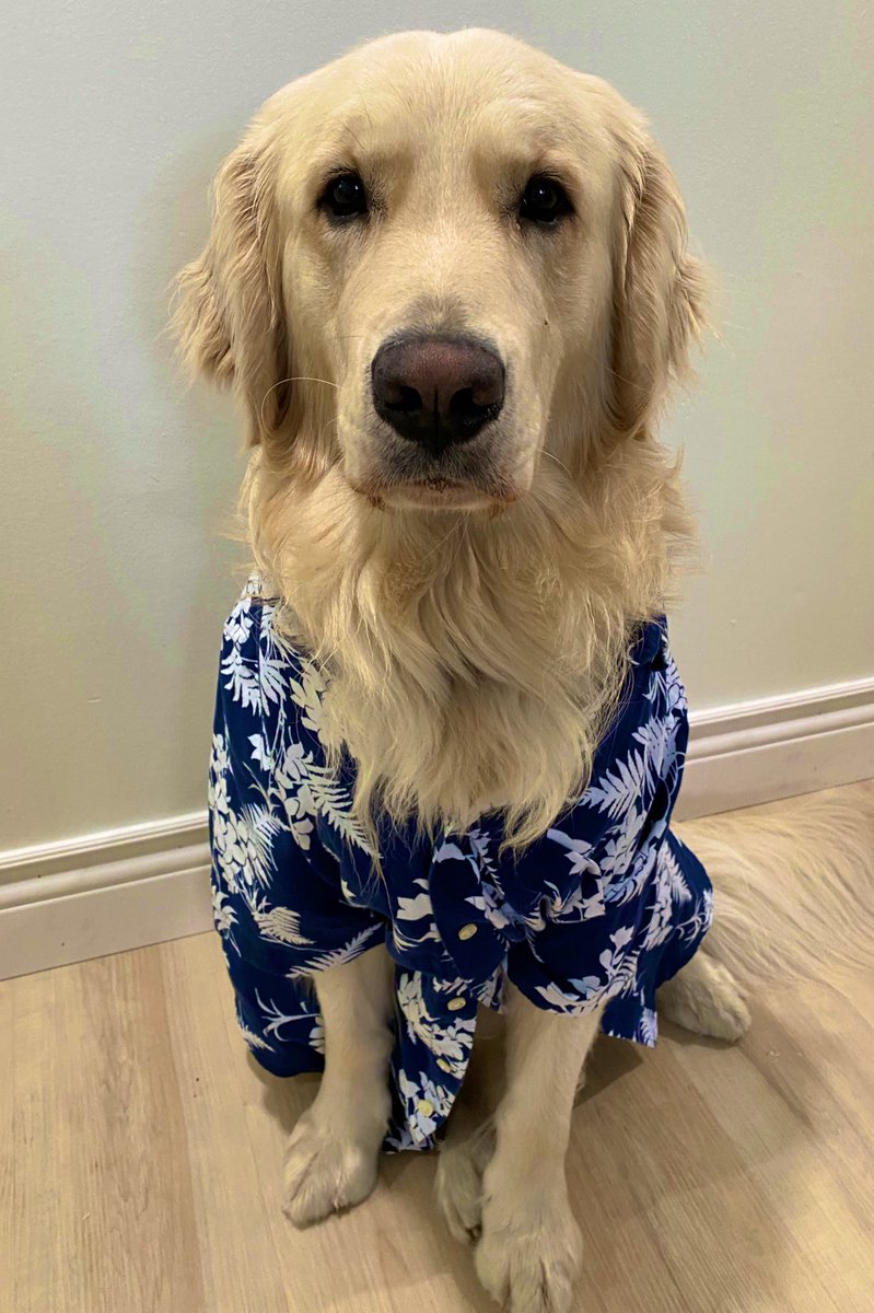 Kim Huynh tweet media