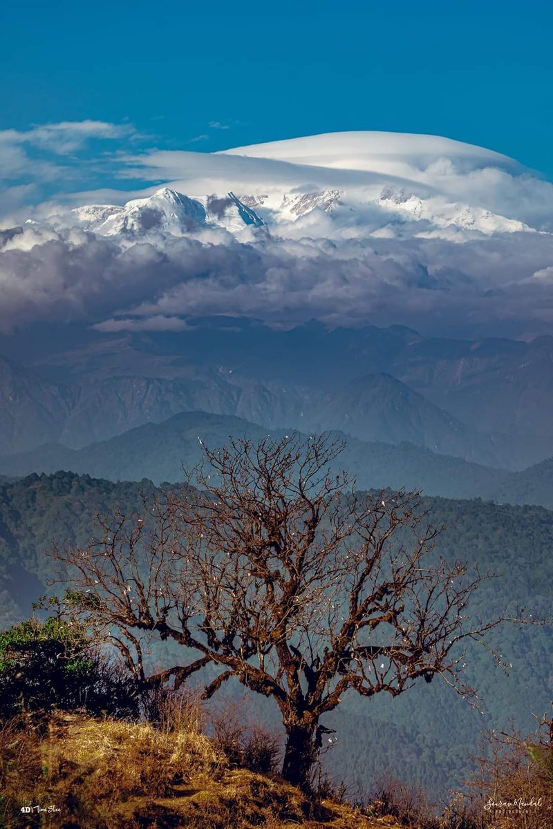 Өглөөний мэнд