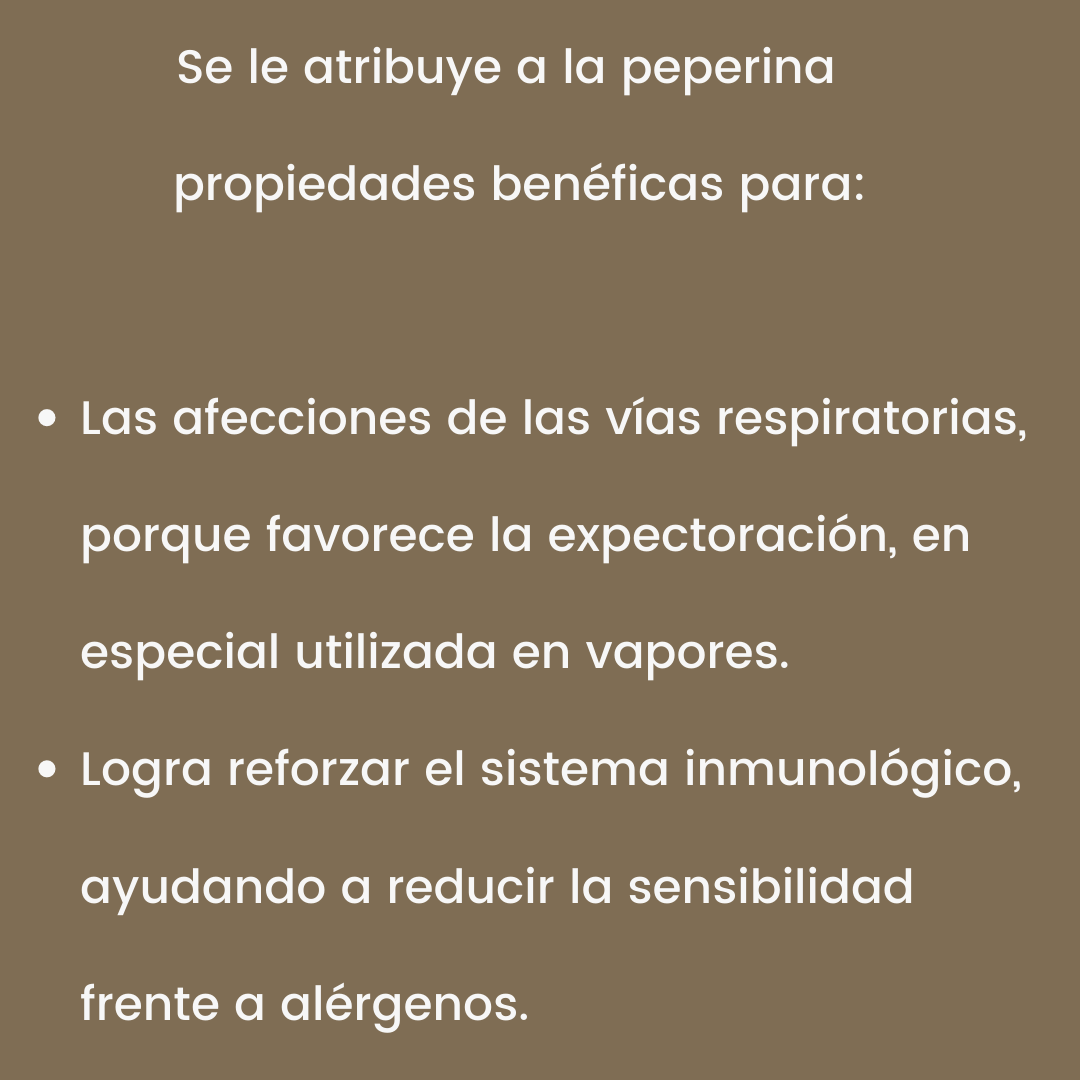Vida_Terra's tweet photo. ¡Levante la mano quién es fans de la peperina!🙋🙋
Para los que todavía no probaron esta hierba serrana ¡se la recomendamos! Lean todos los beneficios que aporta al organismo.
¡A matear y ser felices, en salud siempre!
#mate #yuyos #peperina #yerbamate #blens #argentina https://t.co/KIaurjItNU