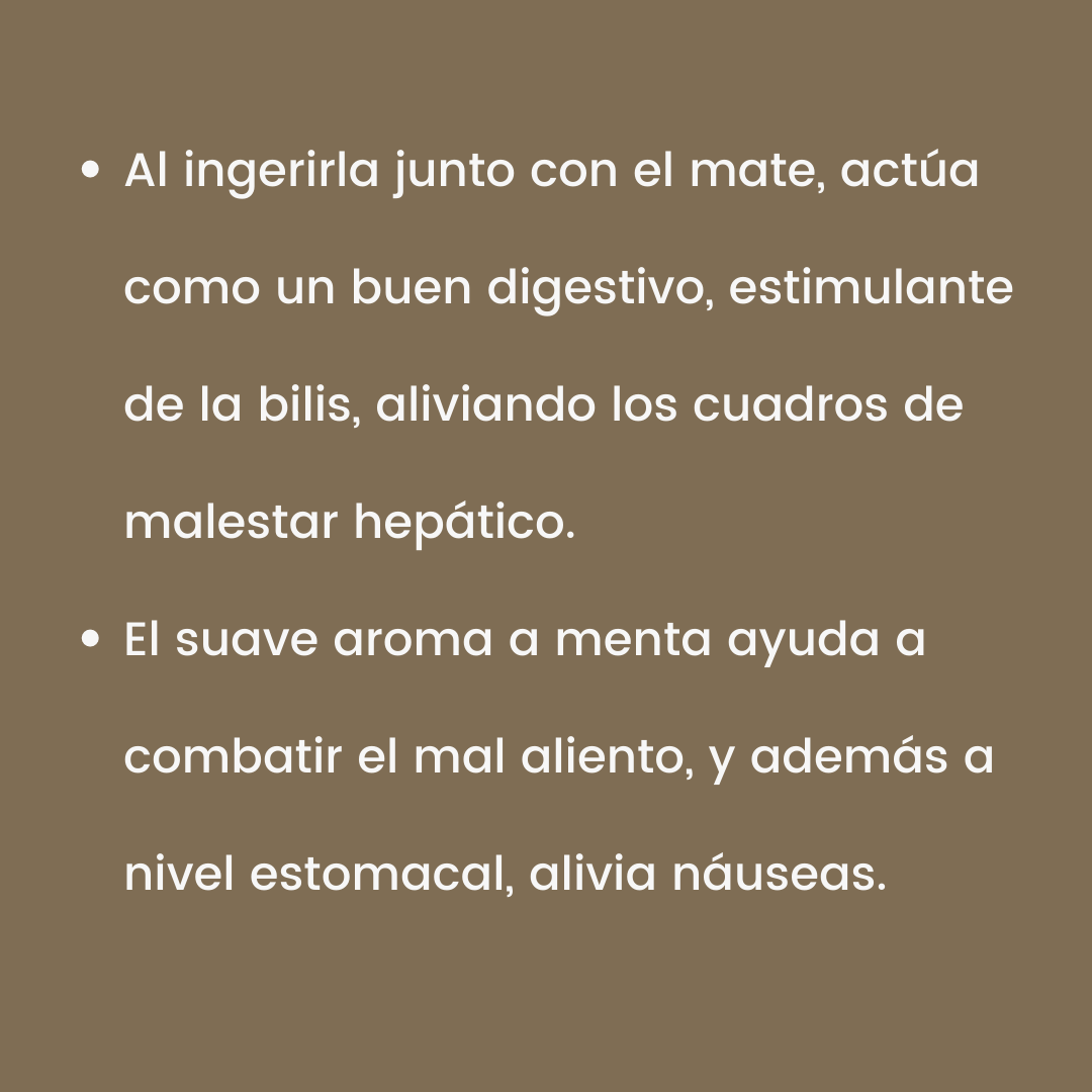 Vida_Terra's tweet photo. ¡Levante la mano quién es fans de la peperina!🙋🙋
Para los que todavía no probaron esta hierba serrana ¡se la recomendamos! Lean todos los beneficios que aporta al organismo.
¡A matear y ser felices, en salud siempre!
#mate #yuyos #peperina #yerbamate #blens #argentina https://t.co/KIaurjItNU