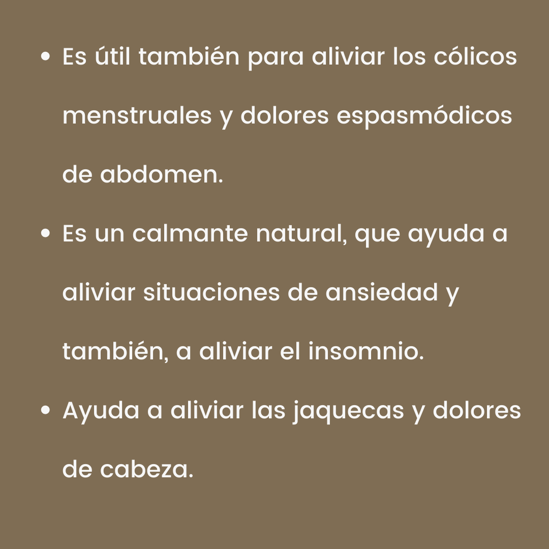 Vida_Terra's tweet photo. ¡Levante la mano quién es fans de la peperina!🙋🙋
Para los que todavía no probaron esta hierba serrana ¡se la recomendamos! Lean todos los beneficios que aporta al organismo.
¡A matear y ser felices, en salud siempre!
#mate #yuyos #peperina #yerbamate #blens #argentina https://t.co/KIaurjItNU