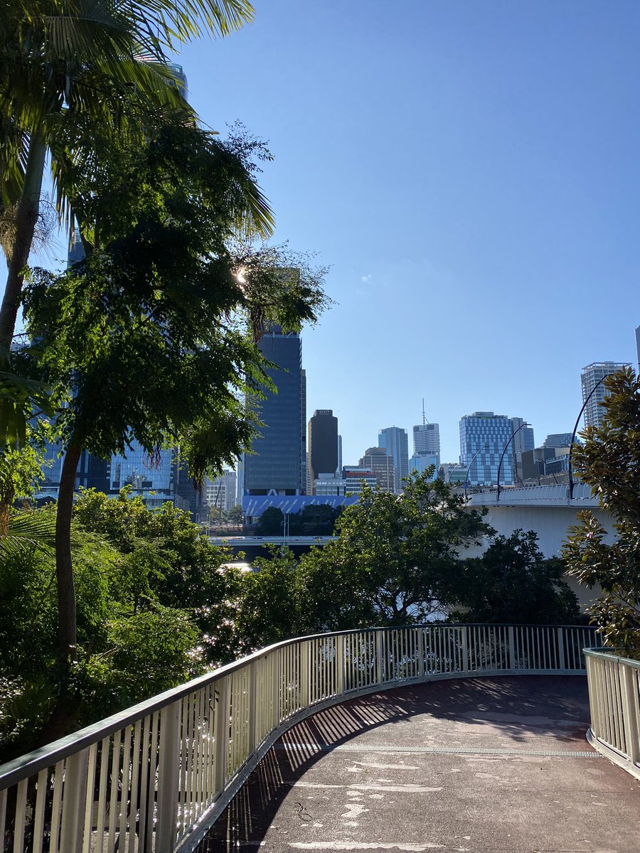 liltweetofsci's tweet photo. Day 4 of #RACI2022 Brisbane has turned it on!!!! ☀️☀️ https://t.co/rX3EuxNAtB