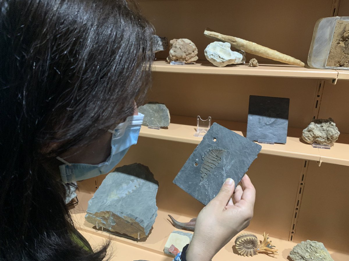 PatrimonioGeo's tweet photo. El Museo Geológico de Quiroga es un buen lugar para tocar rocas, consultar libros interesantes, ampliar tus conocimientos de geología y conocer todo el #PatrimonioGeologico de @COURELMOUNTAIS.
Terminamos este hilo y os recomendamos desde @PatrimonioGeo que visitéis #Courel 😃😃 https://t.co/NiVDah4qUm