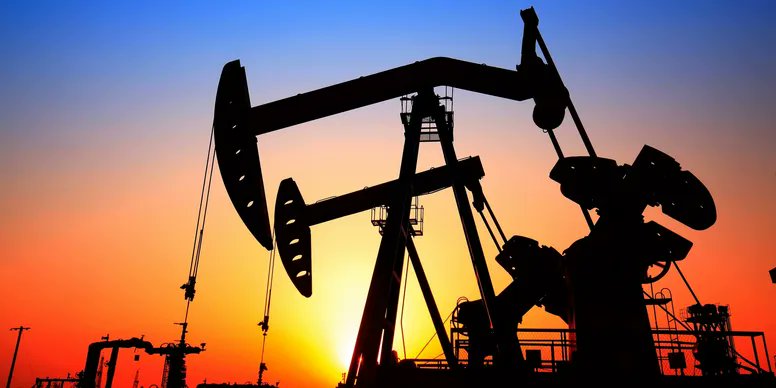 Shelli Shaw for Colorado House District 59 tweet media