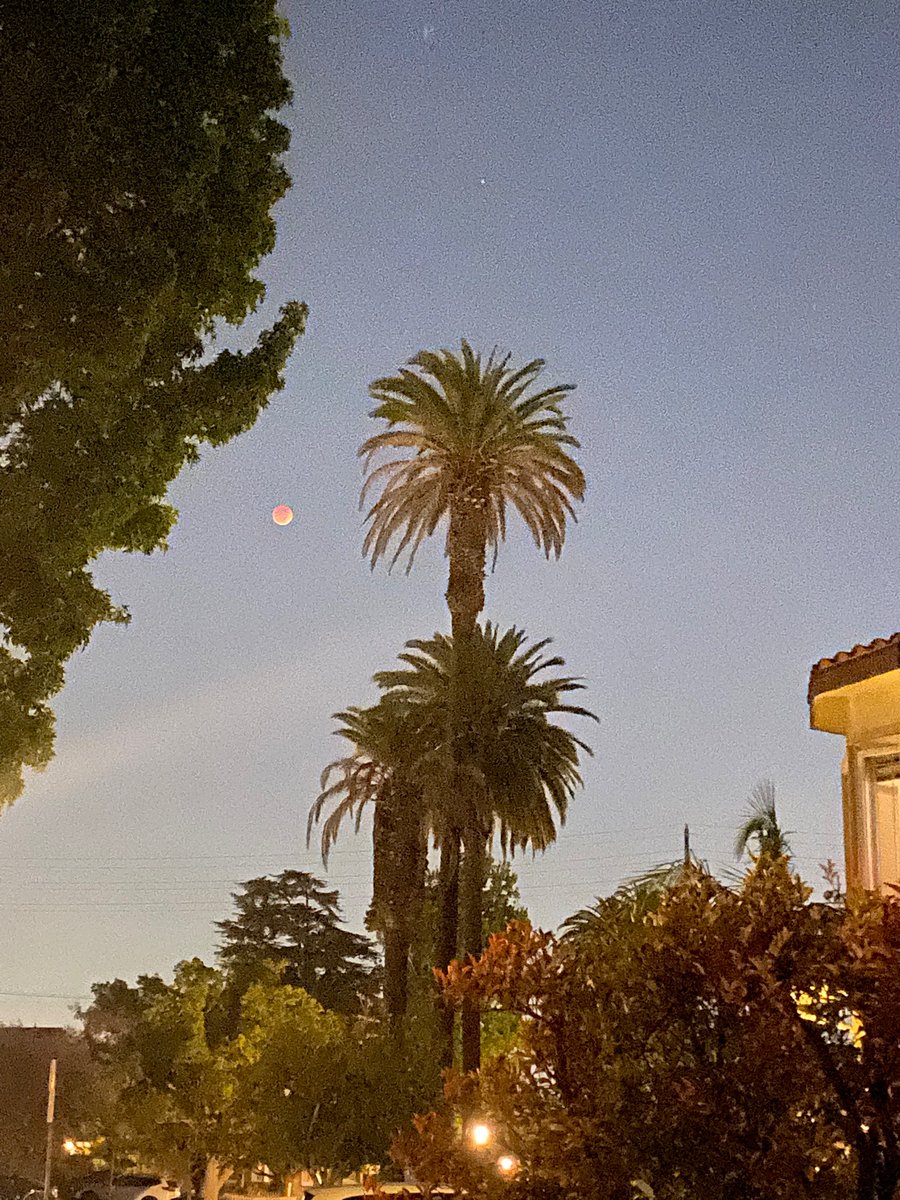 lousiernaga's tweet photo. @Danak65 Los Angeles https://t.co/RJKLJxmV6F