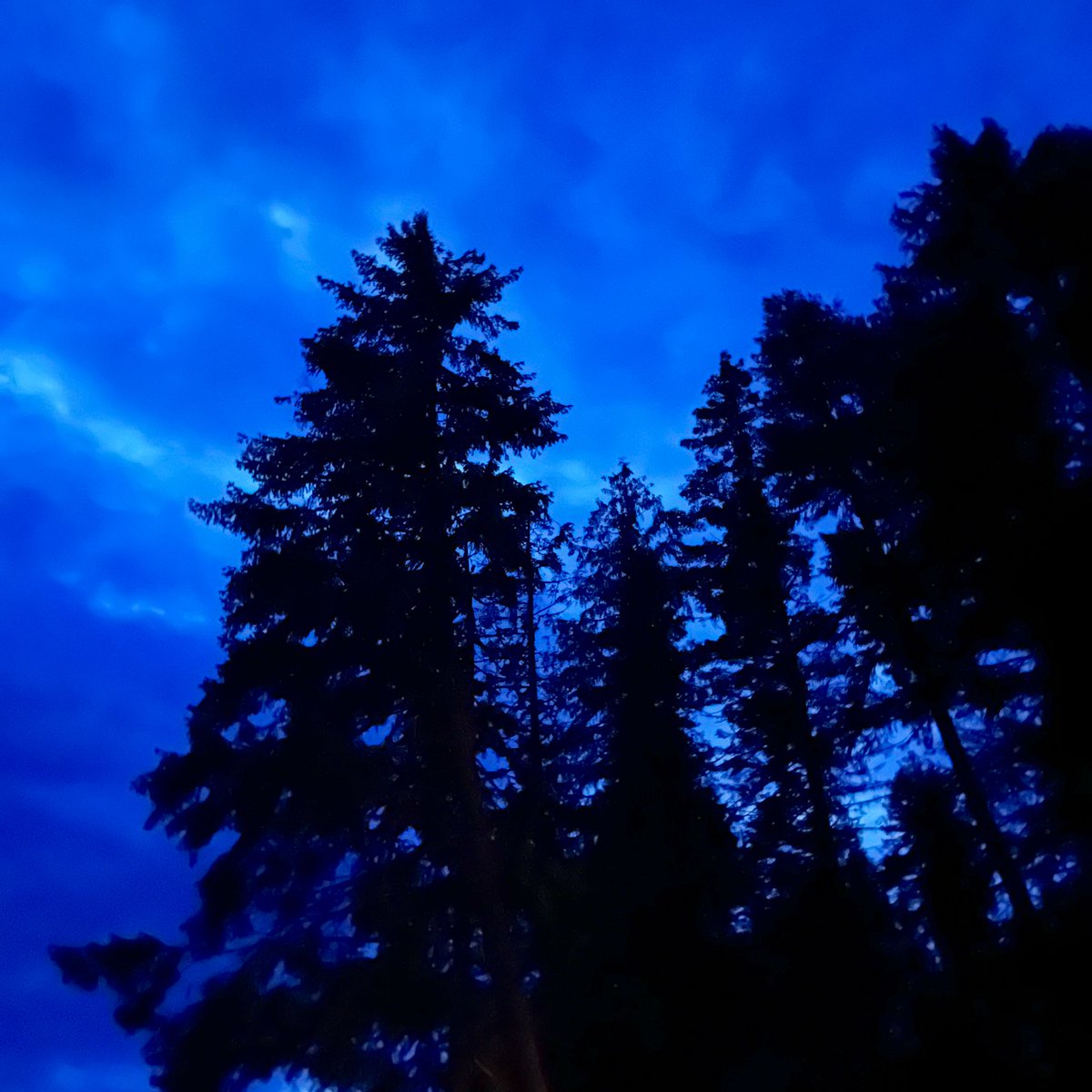 what sign wants to talk to you 🧞‍♂️

- mbf, like, rt 
- comment your sun sign
- tips will get explanation on who this person is and what they want to say 
- dm me to tip, any amount (paypal/venmo)

not doing all. tips &amp; new followers get priority

#cardpull #freecardpull #tarot