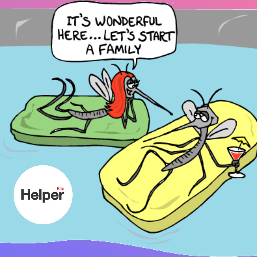 TheBiteHelper's tweet image. Are you inviting Mosquitoes to your yard? Mosquitoes thrive in stagnant water so be sure to dump it out before they get there. If you get bit, use Bite Helper to stop the itch! #mosquitomagnet #BiteHelper #DitchtheItch #mosquito #mosquitobites #Itch