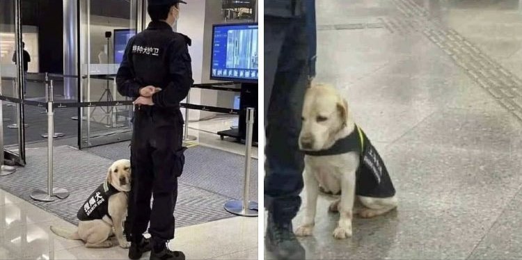 Cansadito en su primer día.  🥹