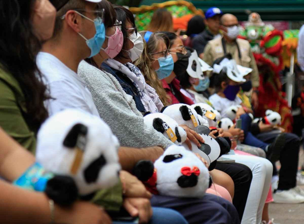 ChapultepecCDMX's tweet image. ¡Queremos pastel! 🎂🥳
Hoy se celebraron dos acontecimientos muy importantes en el Bosque, el Aniversario 99 del #ZoológicoDeChapultepec y el cumpleaños de Shuan- Shuan y Xin-Xin, dos pandas gigantes, de las más longevas del mundo. 🐼🐼