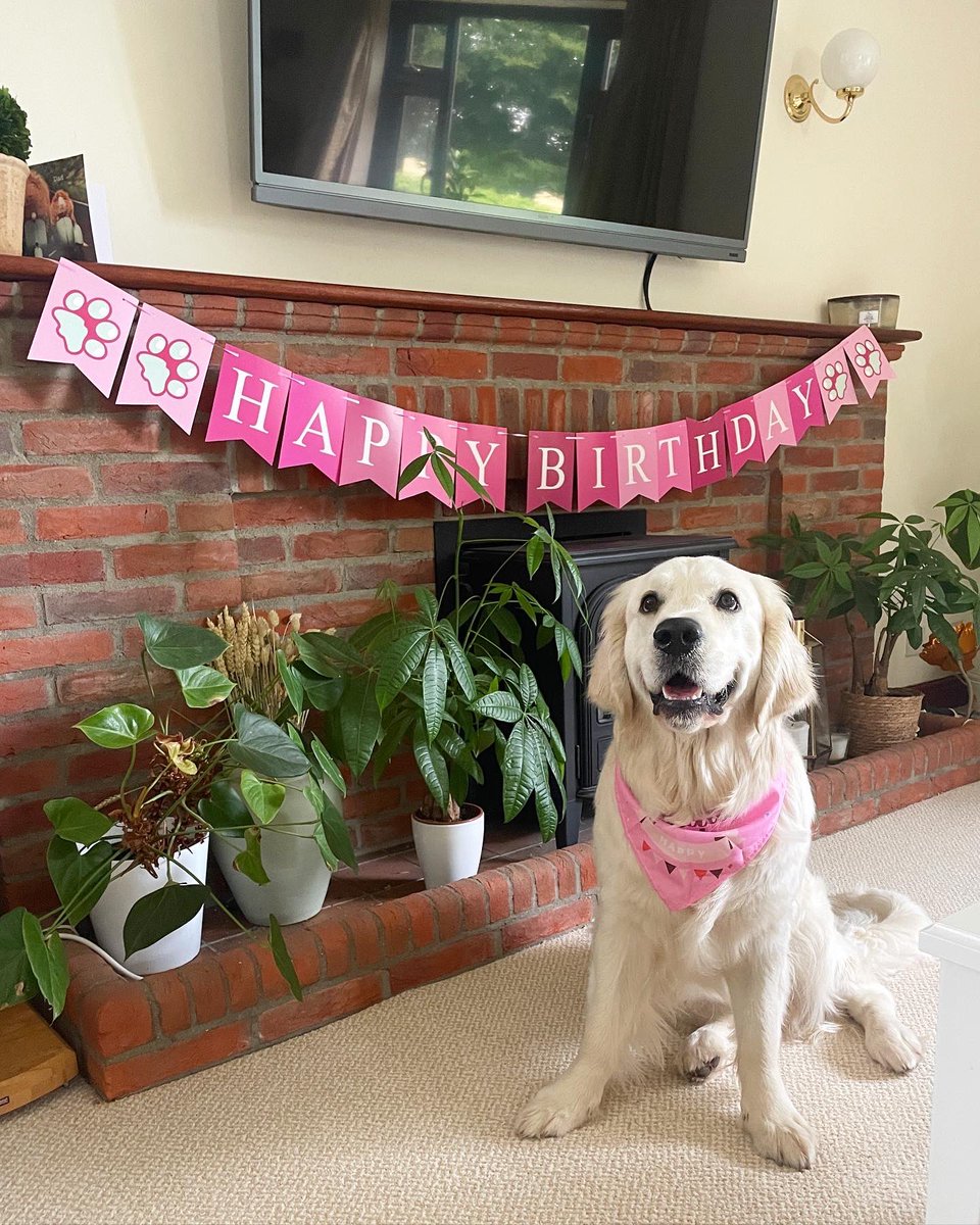 I am now 1 year old guys 🎂🎉