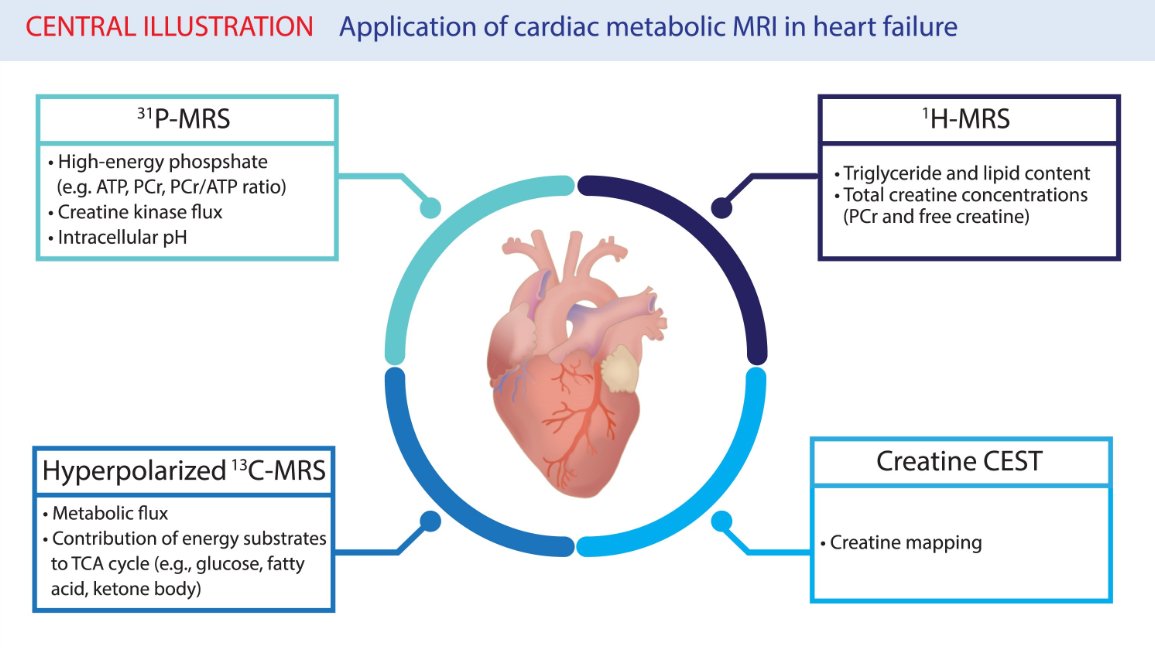 Christopher Nguyen, PhD, FSCMR, FACC (@chrisnguyenphd) on Twitter photo Another publication! Fantastic review in <a href="/ESC_Journals/">European Society of Cardiology Journals</a> tinyurl.com/2p8fpfck about #whycmr of cardiac metabolism in HF. Special congrats to <a href="/salvareverentia/">Salva Yurista</a>, co-authors <a href="/WilsonTangMD/">W. H. Wilson Tang, MD</a> <a href="/DebbieKwonMD/">DebbieKwonMD</a>, and our friends at <a href="/MGHMartinos/">MGH Martinos Center</a>.
#CCF_CIRC @TallRoundsTM <a href="/ClevelandClinic/">Cleveland Clinic</a> Another publication! Fantastic review in <a href="/ESC_Journals/">European Society of Cardiology Journals</a> tinyurl.com/2p8fpfck about #whycmr of cardiac metabolism in HF. Special congrats to <a href="/salvareverentia/">Salva Yurista</a>, co-authors <a href="/WilsonTangMD/">W. H. Wilson Tang, MD</a> <a href="/DebbieKwonMD/">DebbieKwonMD</a>, and our friends at <a href="/MGHMartinos/">MGH Martinos Center</a>.
#CCF_CIRC @TallRoundsTM <a href="/ClevelandClinic/">Cleveland Clinic</a>