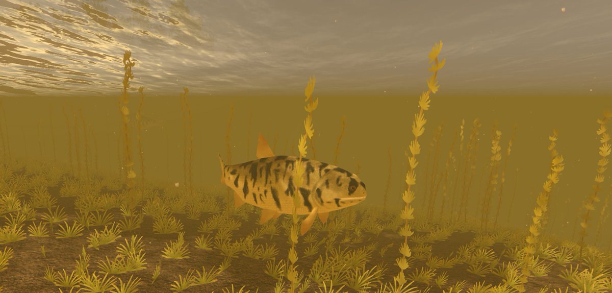 PaleozoicLife's tweet photo. Acrolepis gigas https://t.co/HZ0f0WxixG