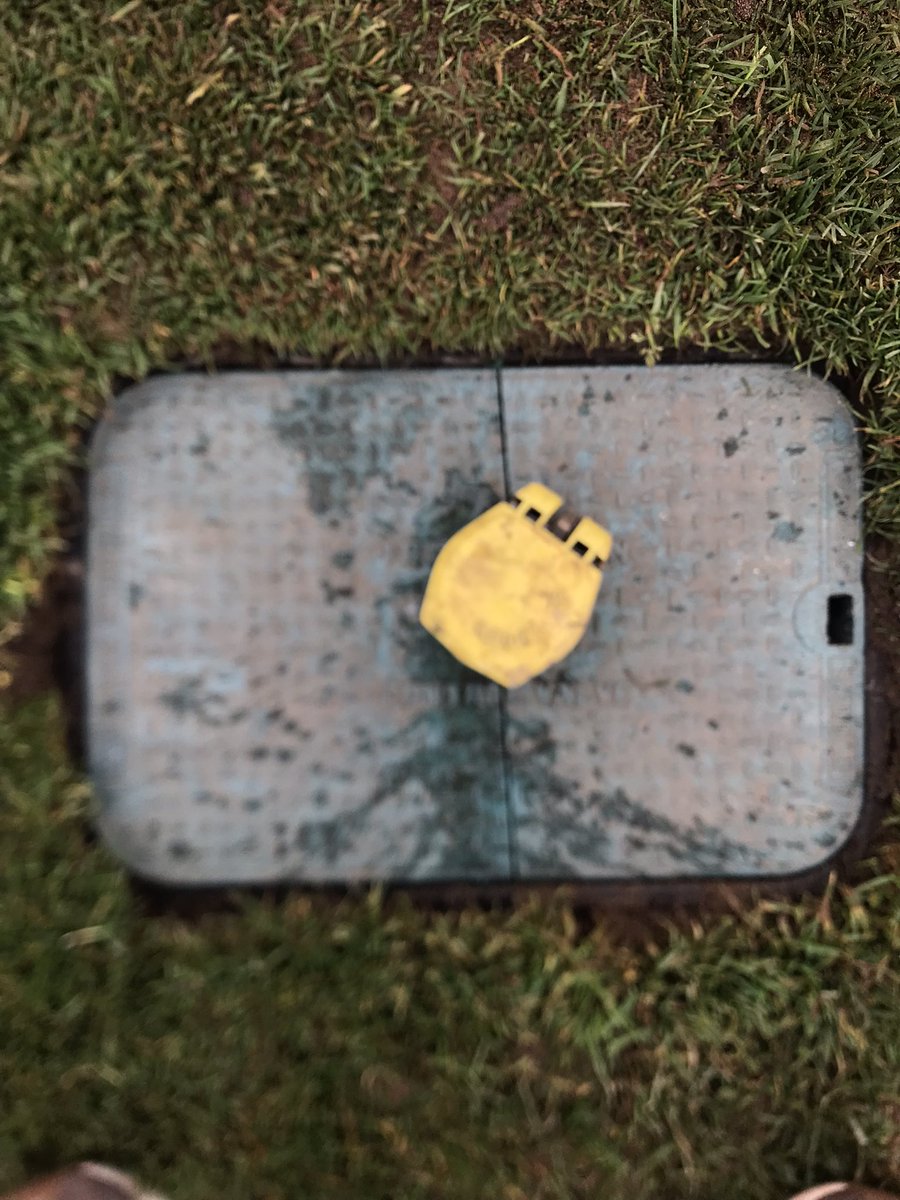 Levi Weber tweet media