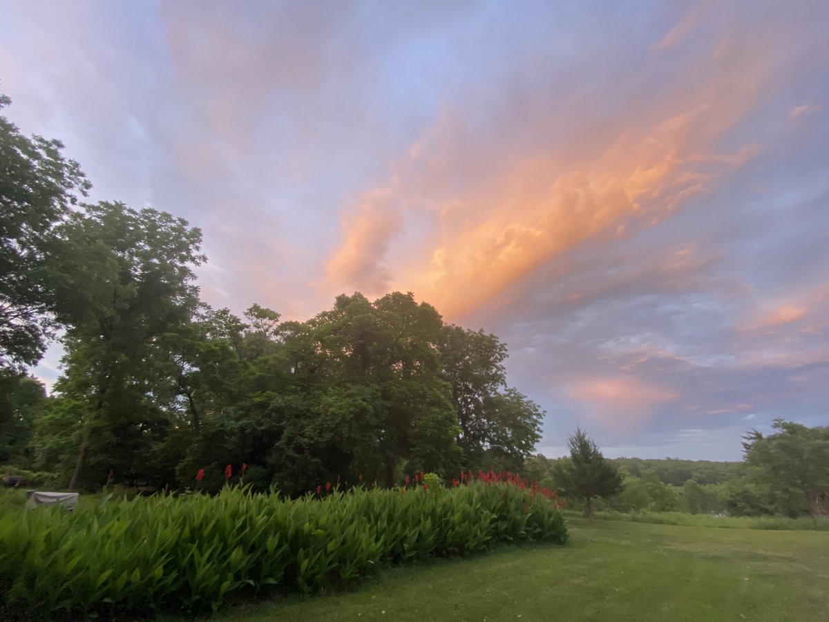 wolf of y’all street tweet media