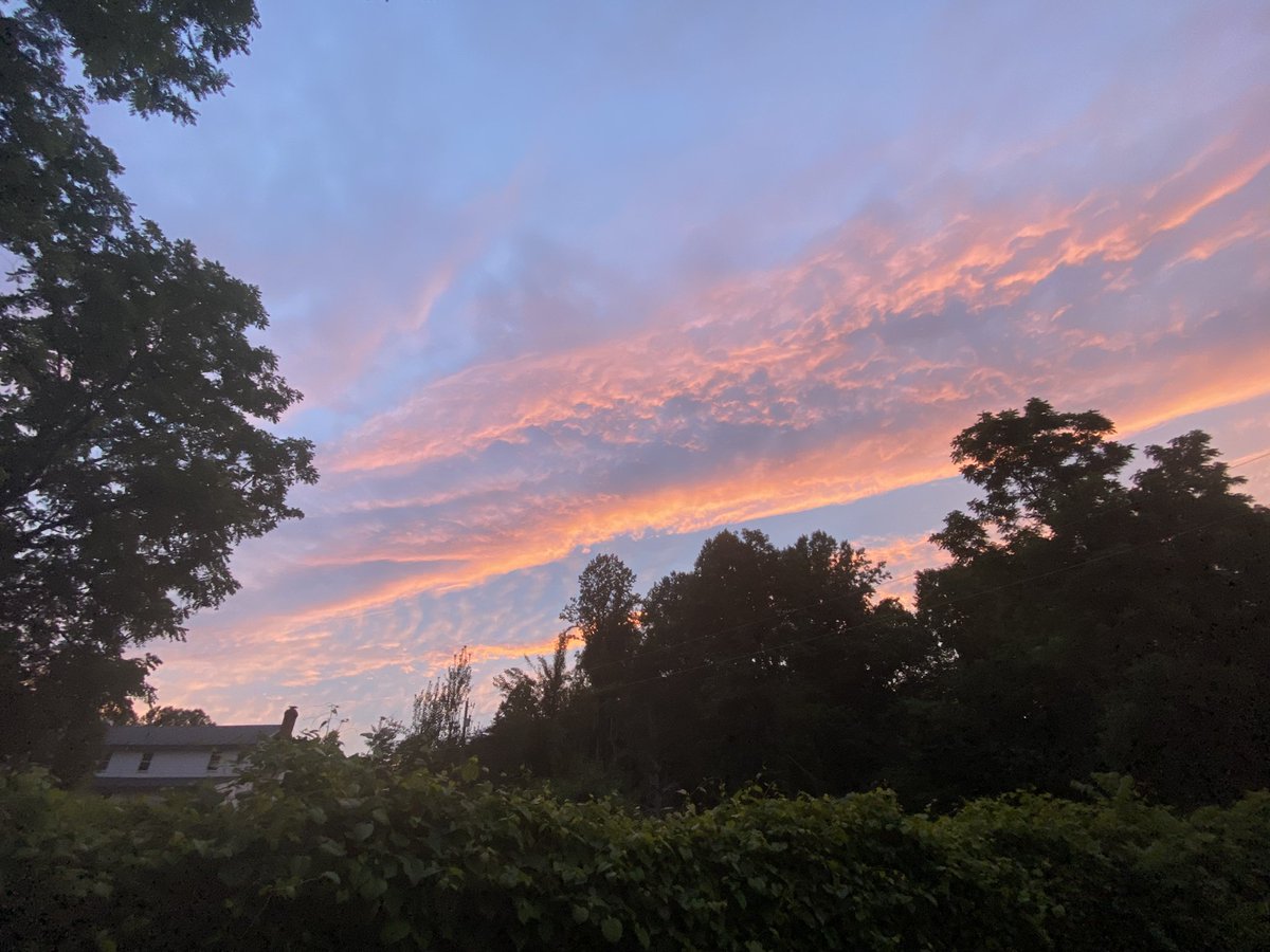 wolf of y’all street tweet media