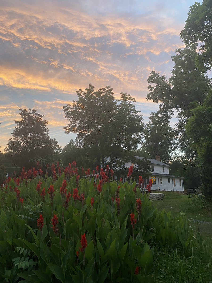 wolf of y’all street tweet media