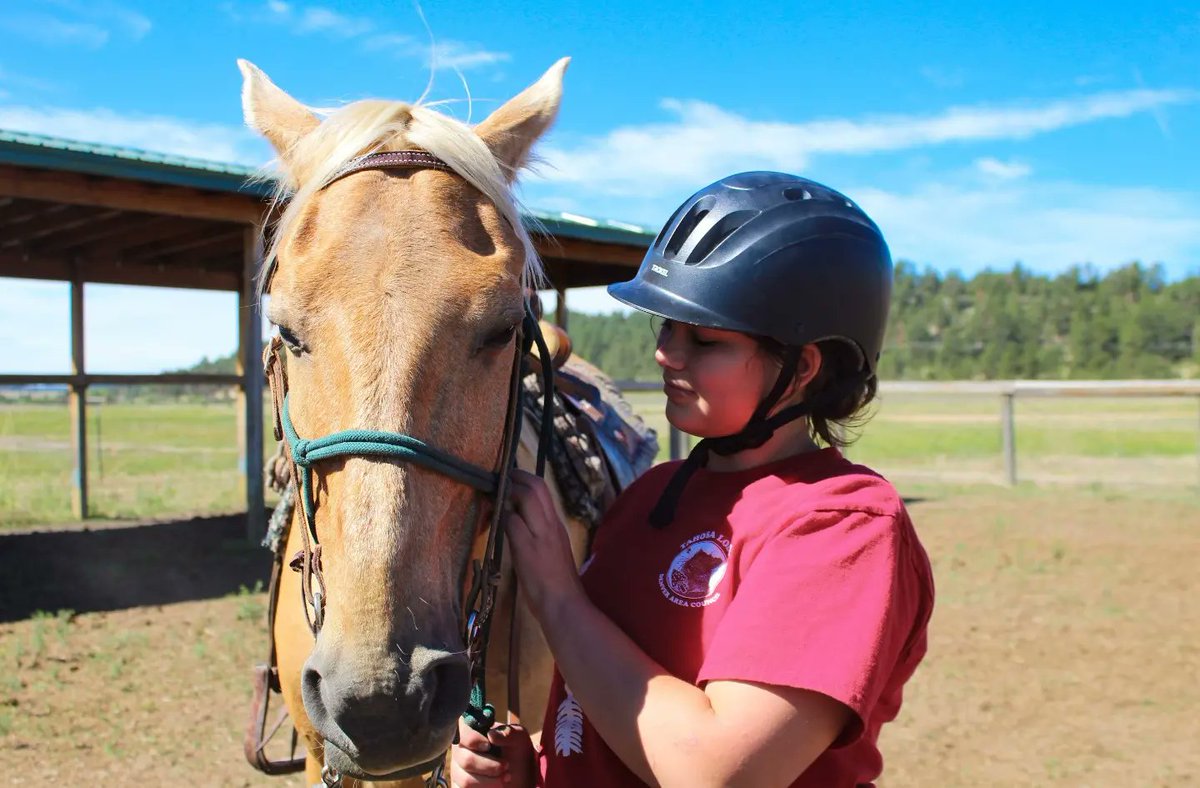 McNeilScoutRnch's tweet photo. Bringing back horses has been a success! Our campers are loving their time spent with these gentle giants! #summervibes #horses #camp #camping #msrpv https://t.co/Tjkw8OL1AH