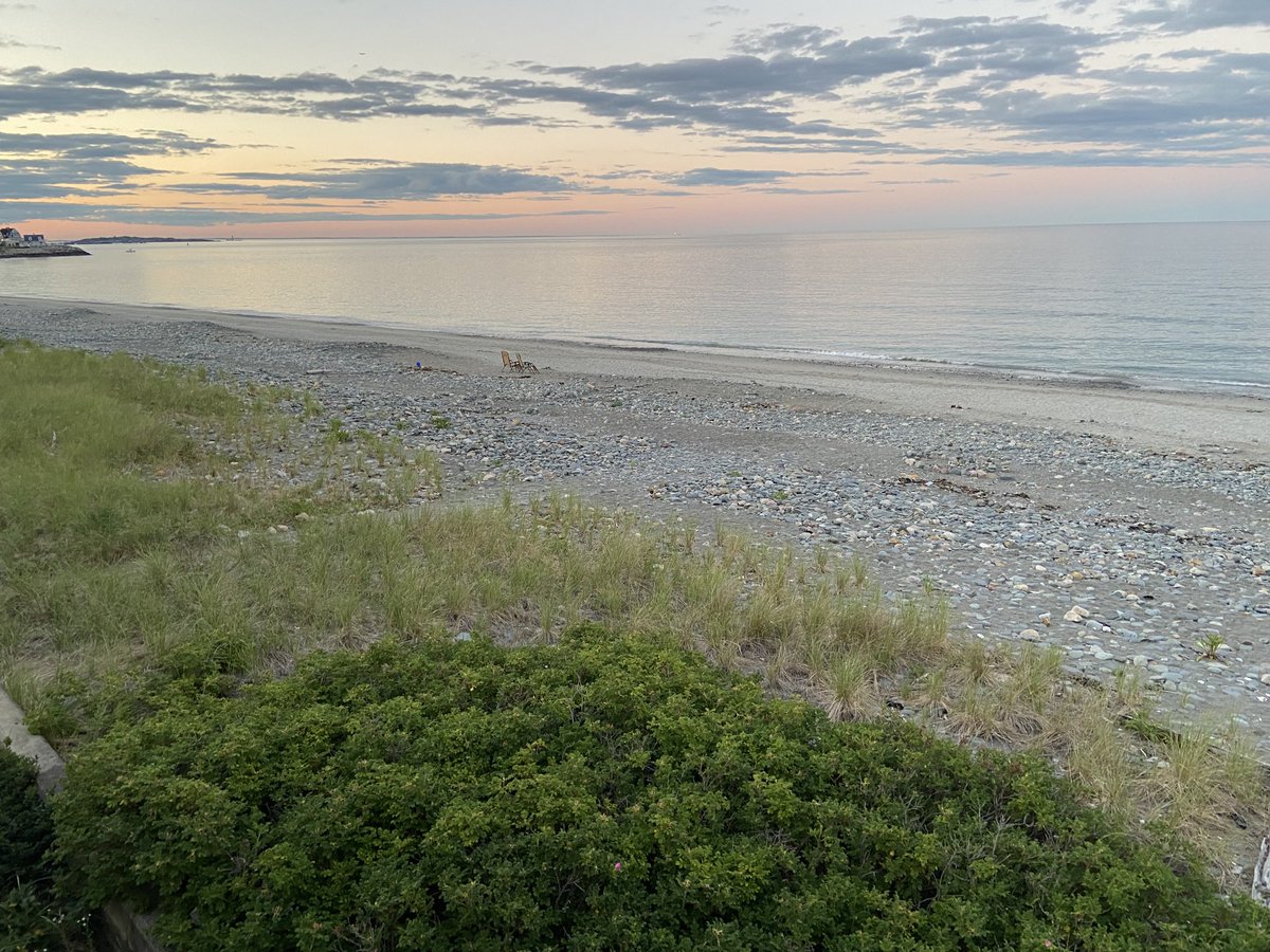 Dr. Joyce Edwards tweet media